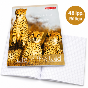 Notebok # 48 pages